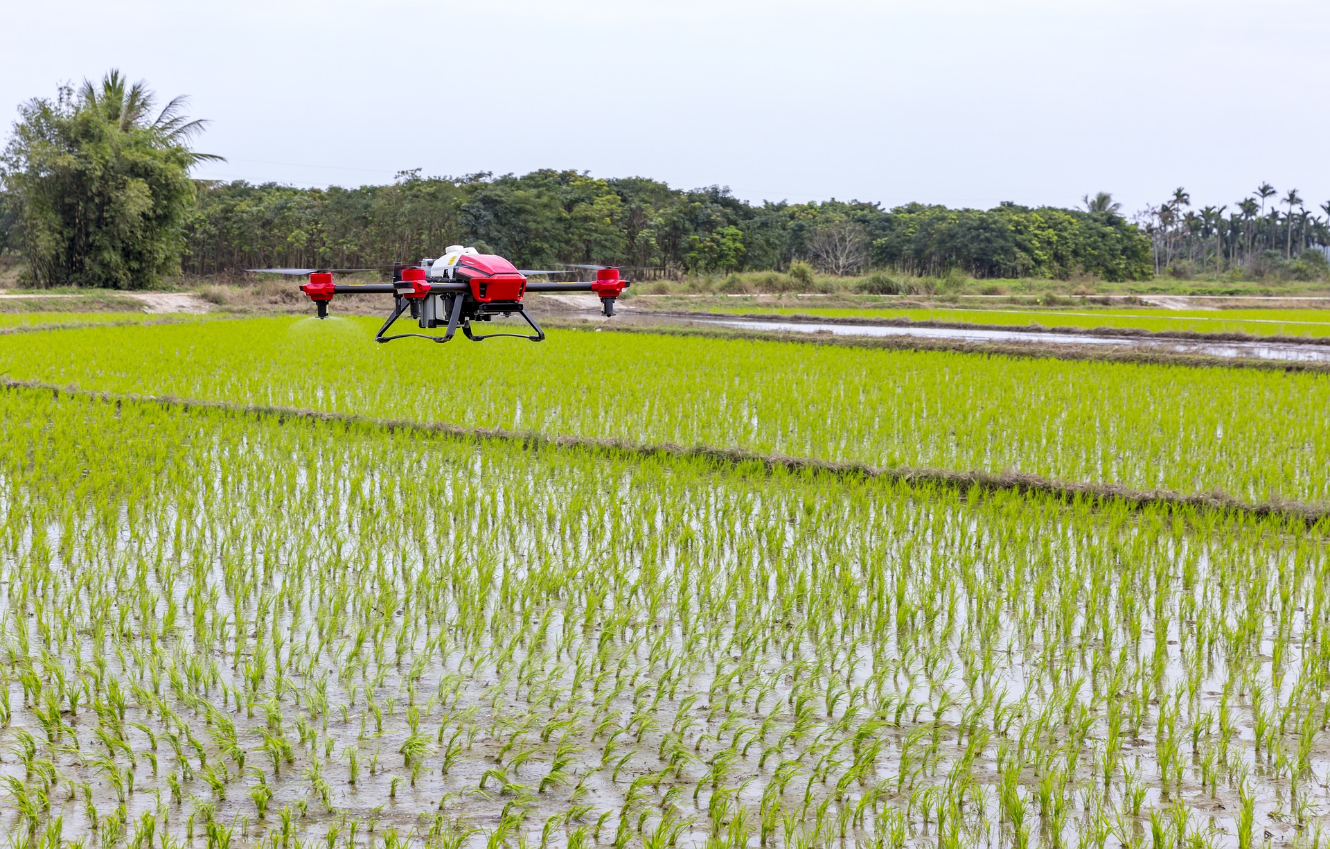 Vietnamese Government Encouraged to Embrace Agricultural Innovation to Protect Vietnam’s Economy & Food Security