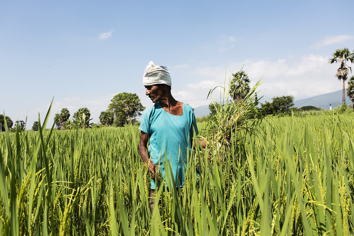 CropLife Asia Calls on Region’s Stakeholders to Work Together to Address “Unacceptable” Food Crisis