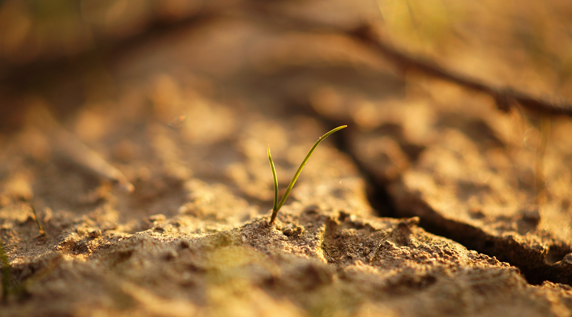 CropLife Asia Shares Message of Sustainability this World Soil Day